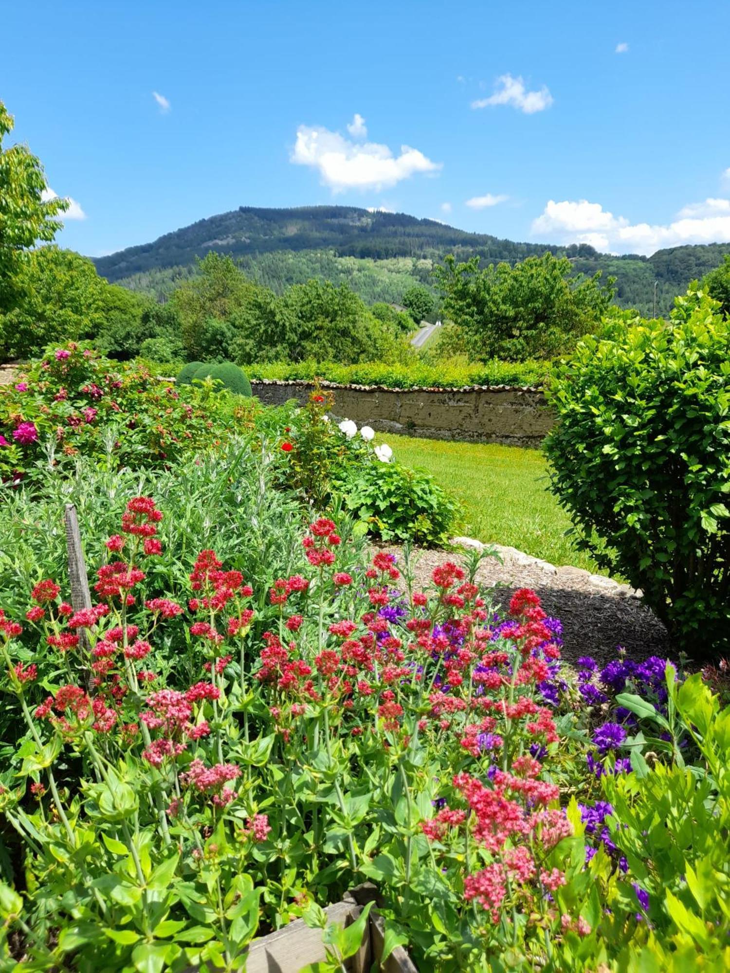 Le Jardin De Chignore Vollore-Ville Zewnętrze zdjęcie